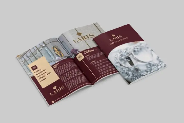 Portfolio company profile Laris