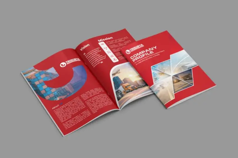 Portfolio company profile Trisurya